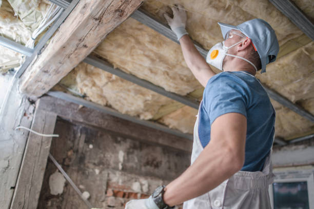 Best Energy Efficiency Insulation in Dyer, TN