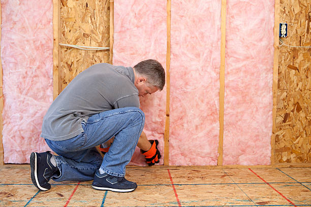 Best Specialized Insulation Services in Dyer, TN